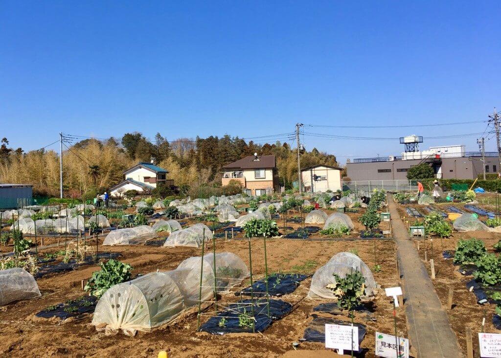 ＜シェア畑＞３月講習会２